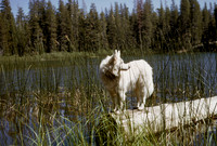 02_1964_006