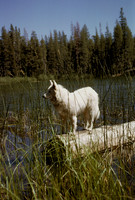 02_1964_009