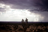 04_1961_004