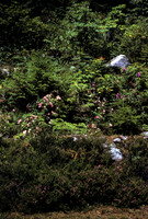 07_Malibu_018