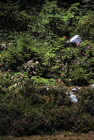 07_Malibu_018