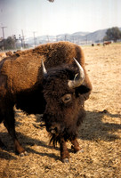 08_Misc_011