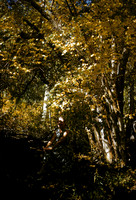 08_Misc_016