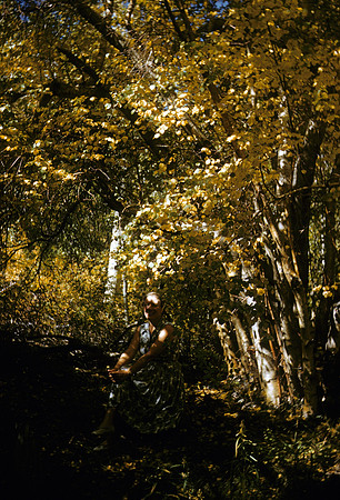 08_Misc_016