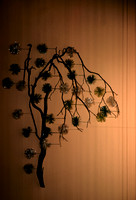 08_Misc_014