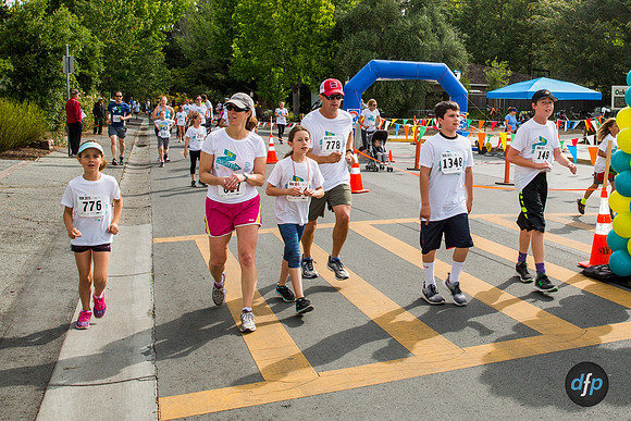 RFED-208