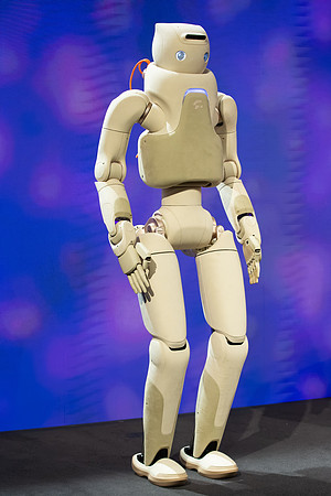 HRF-3