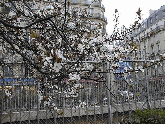 Paris-507