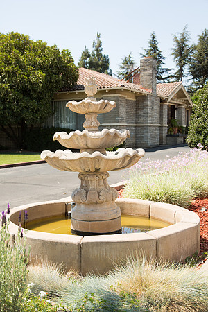 IMG_8423