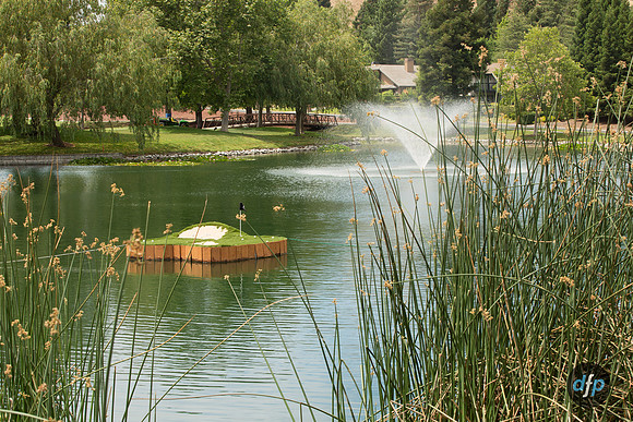 MCH-020