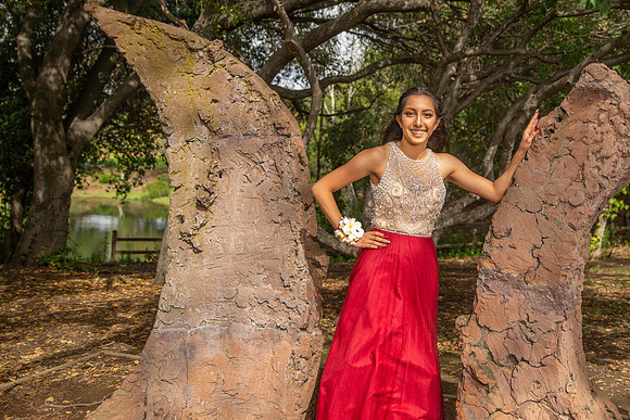 Prom-003
