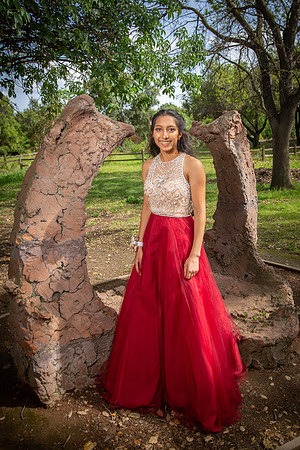 Prom-006