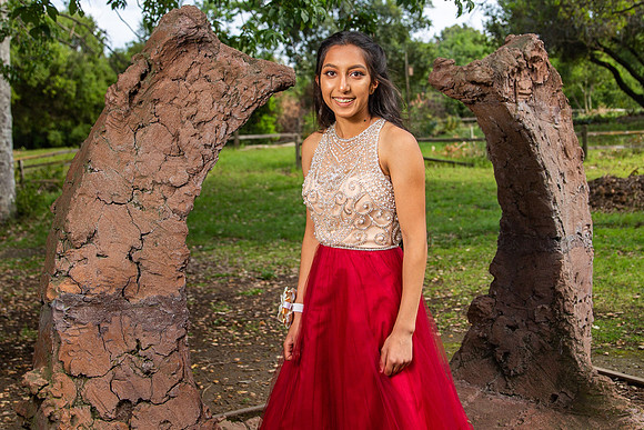 Prom-007-2