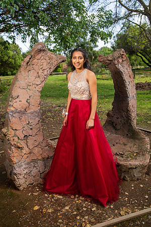Prom-007