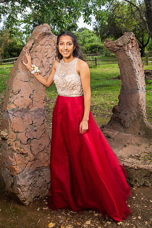 Prom-008