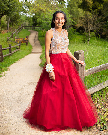 Prom-012