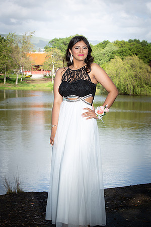 Prom-031