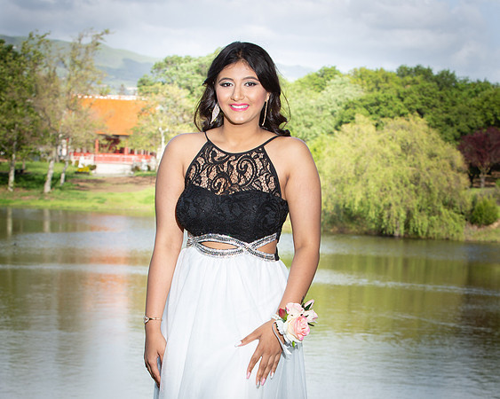 Prom-033-2