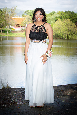Prom-033