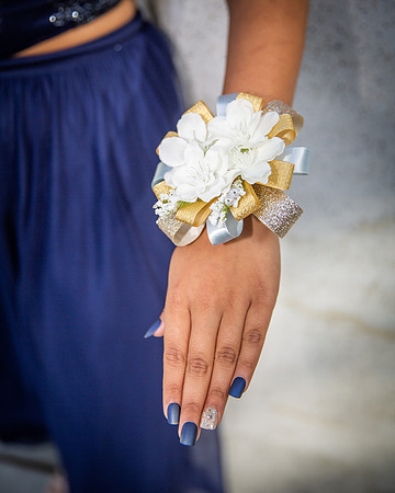 Prom-061