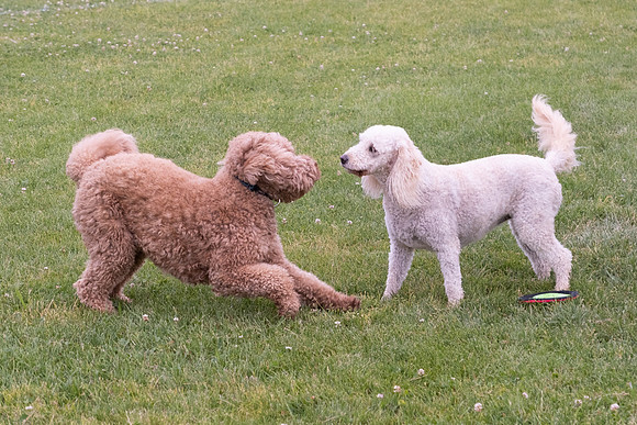 DSCF1497