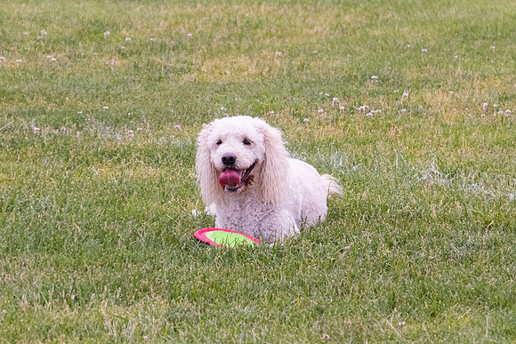 DSCF1528