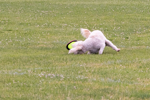 DSCF1563