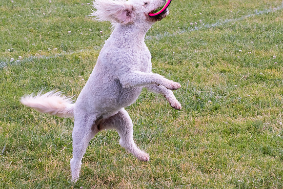 DSCF1594