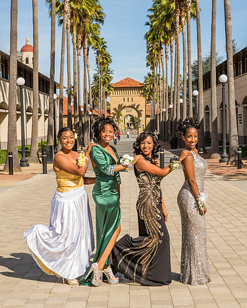 MP Prom-036
