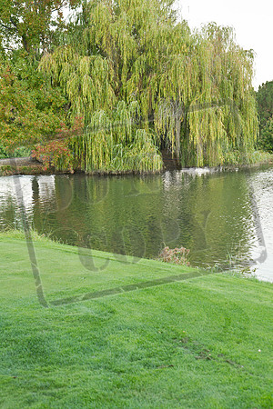 IMG_9667