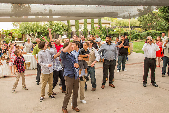 LJ-352