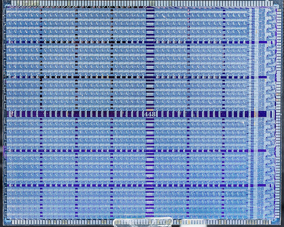 Cryo-005
