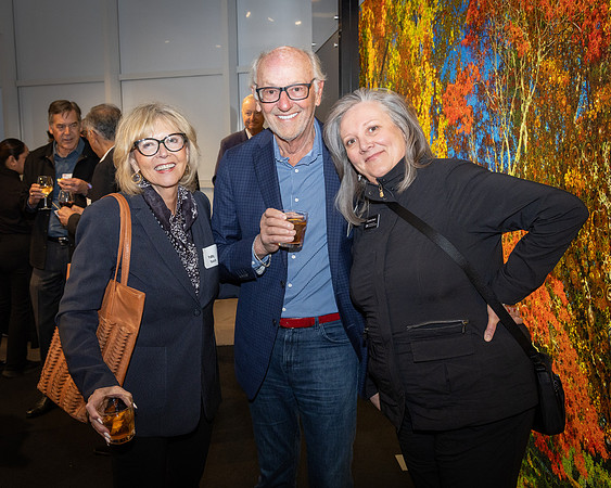 DL-11